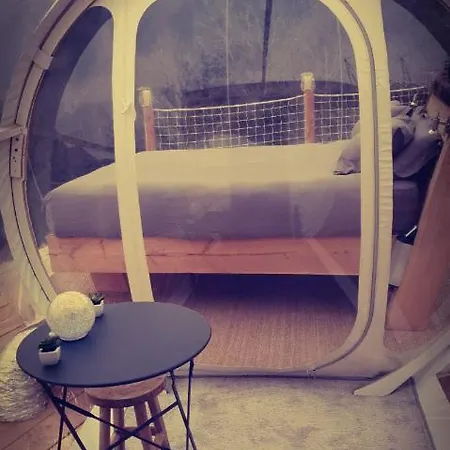 Bubble 47 Guest house