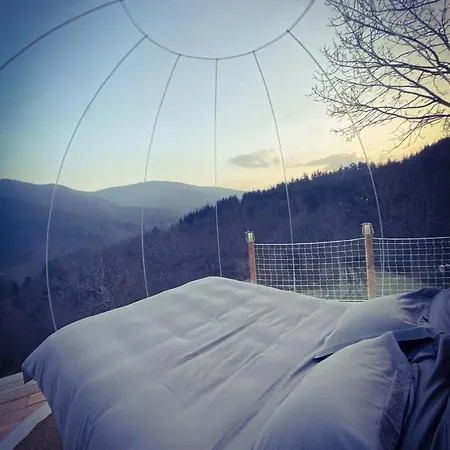 Bubble 47 Guest house *